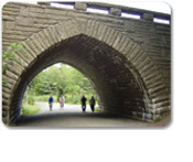 Acadia National Park Guided Bike Tour