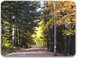 A Walk in The Park & Cadillac Mountain
