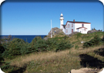 Gros Morne National Park By Motor Coach