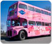 Hop On / Hop Off British Double Decker Bus Tour
