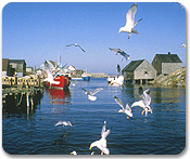 Fisherman's Cove  Excursion