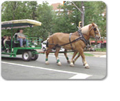 Halifax Horse-Drawn Trolley