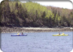 Nature Kayaking & Lobster Cookout