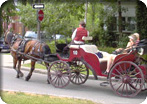 Old Quebec Walk & Horse Carriage Tour