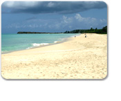 Antigua's Runaway Beach Break