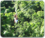 Canopy Tour