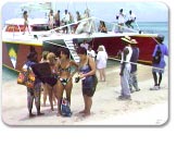 Bird Island Catamaran Sail