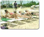 Antigua Half Day Beach Break