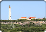 Aruba Sea & See Island Tour