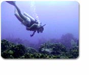 Aruba Scuba Tour With Equipment