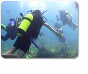 Aruba Discover Scuba Diving