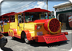 Calypso Train Tours