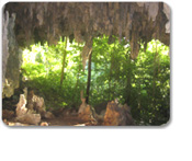 Belize Survival Trek
