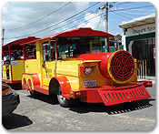 Calypso Train Tours