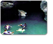 Cave Tubing & Jungle Walk