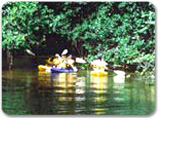 River Kayaking Safari