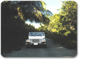 4x4 Jeep Safari