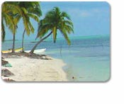 Costa Maya Beach Snorkel