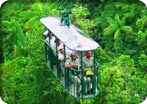 Rain Forest Aerial Tram 
