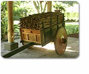 Costa Rican Traditions