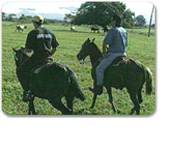 Horseback Riding Adventure