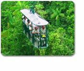 Aerial Tram Pacific