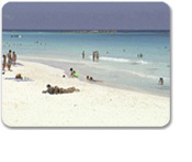 Cancun Highlights & Shopping