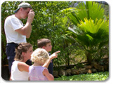 The Butterfly Farm & Beach Adventure