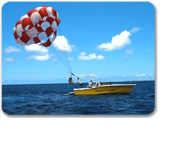 Cayman Parasail and Beach Escape
