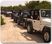 Cayman Jeep Wrangler Adventure & Beach Snorkel