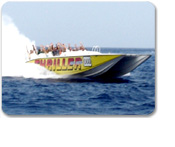 Thriller Boat Sea & Sand Adventure