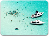 Stingray City Barrier & 7 Mile Beach Lunch