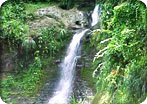 Mountain Forest/Grand Etang/Annandale/Fort Frederick