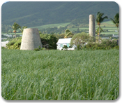 Plantation - Off the Beaten Path