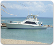 Deep Sea Fishing