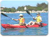 Nature Kayaking