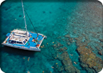 Catamaran Sail and Snorkel