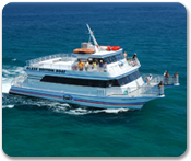 Glass Bottom Boat