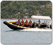 High Speed Coastal Cruise & Swim