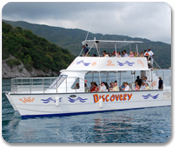 Discover Haiti Coastal Cruises