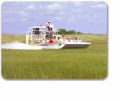 Everglades Safari (FLL)