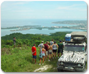 4 x 4 Safari Adventure