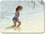 Beach Comber Beach Break