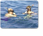 Catamaran Sail & Snorkel