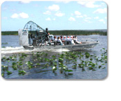 Alligator Airboat Adventure