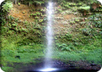 Accessible Dominica and Rainforest Drive