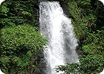 Trafalgar Falls and Sulphur Springs