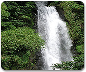 Trafalgar Falls and Sulphur Springs