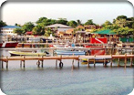 Island Tour