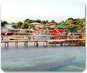 Island Tour
